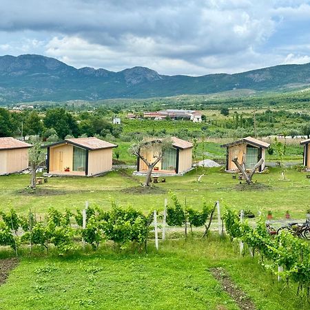 Fishta Guesthouse - Mrizi I Zanave Fishte Kültér fotó