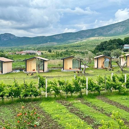 Fishta Guesthouse - Mrizi I Zanave Fishte Kültér fotó