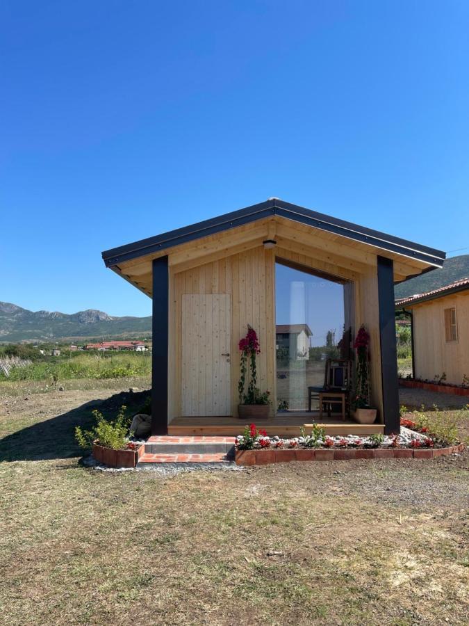 Fishta Guesthouse - Mrizi I Zanave Fishte Kültér fotó