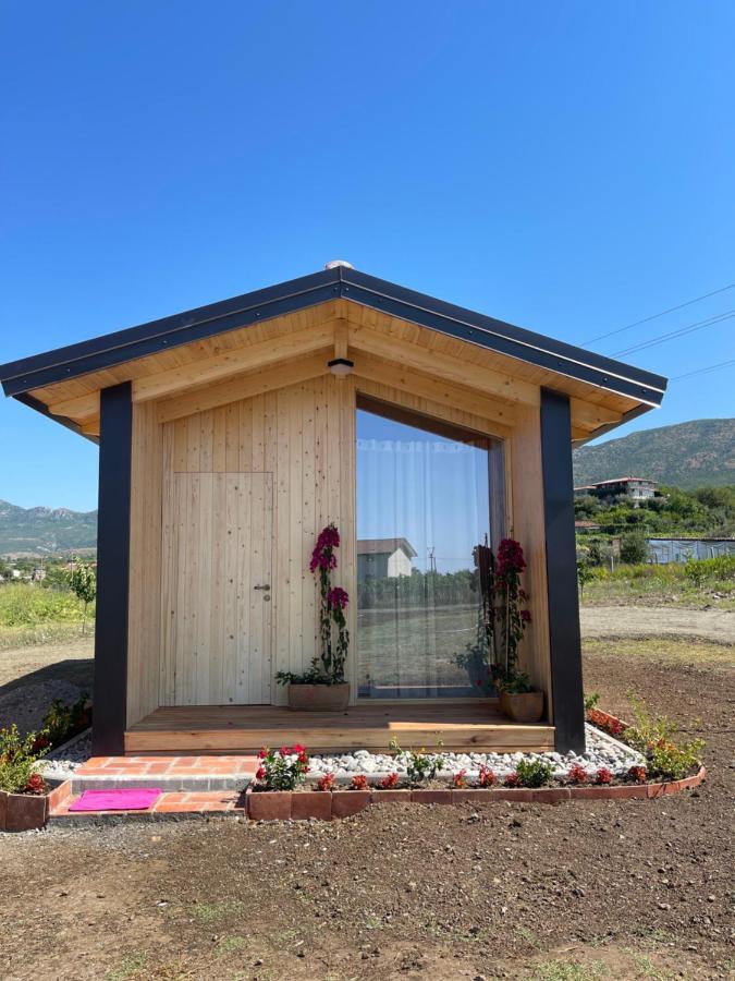 Fishta Guesthouse - Mrizi I Zanave Fishte Kültér fotó