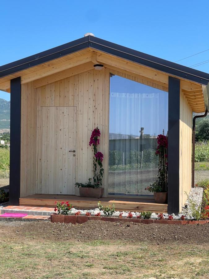 Fishta Guesthouse - Mrizi I Zanave Fishte Kültér fotó