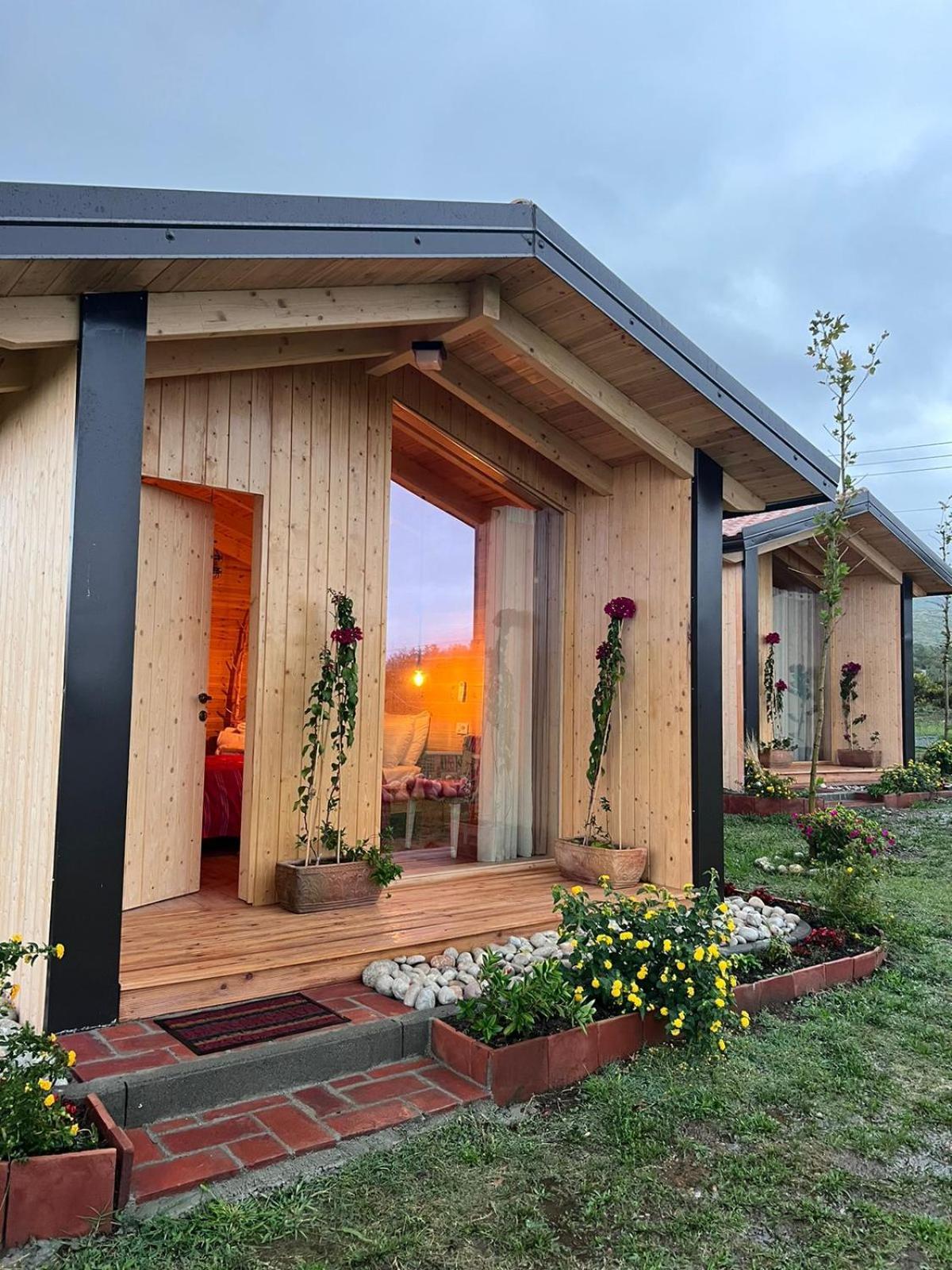 Fishta Guesthouse - Mrizi I Zanave Fishte Kültér fotó