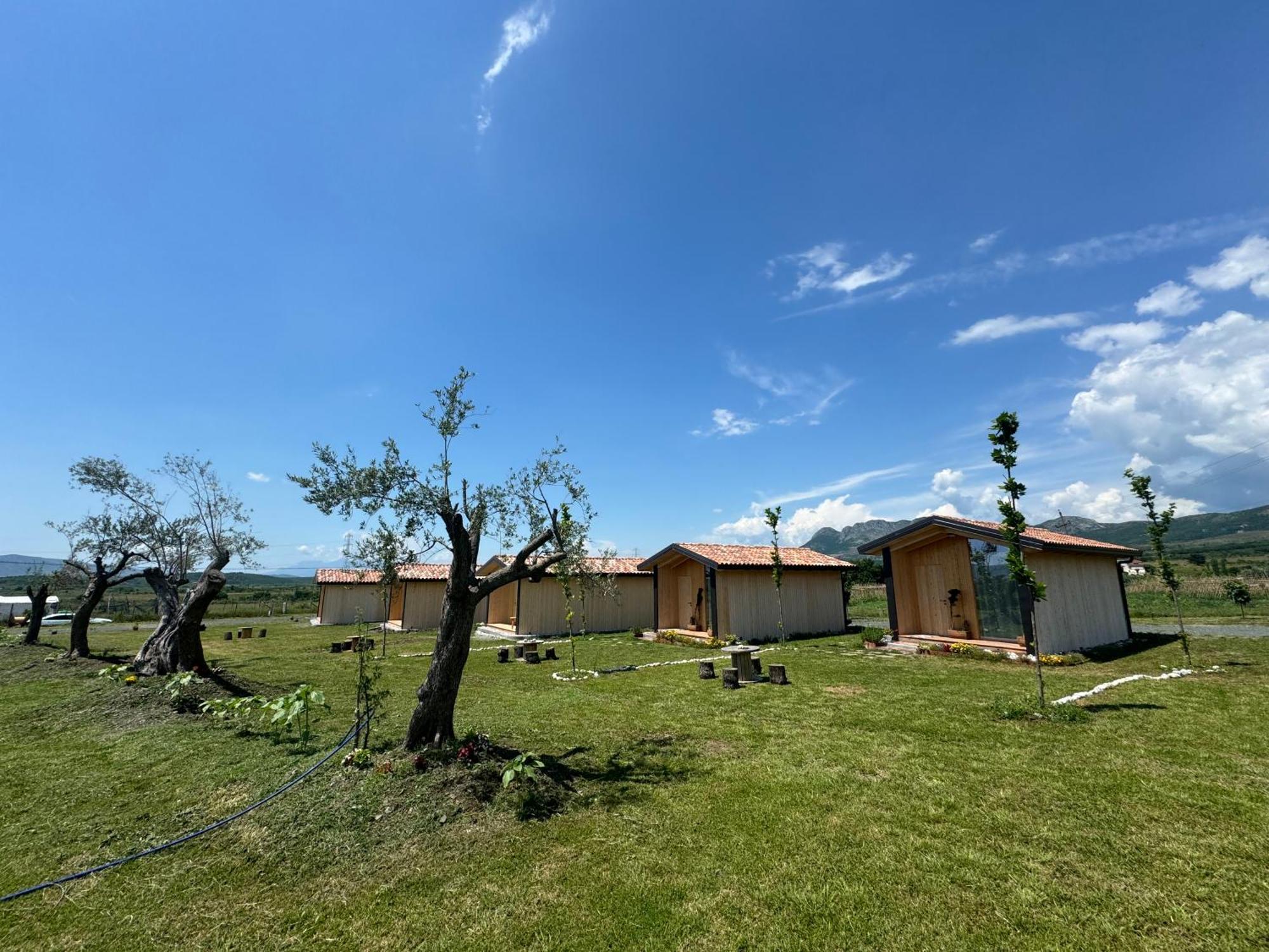 Fishta Guesthouse - Mrizi I Zanave Fishte Kültér fotó