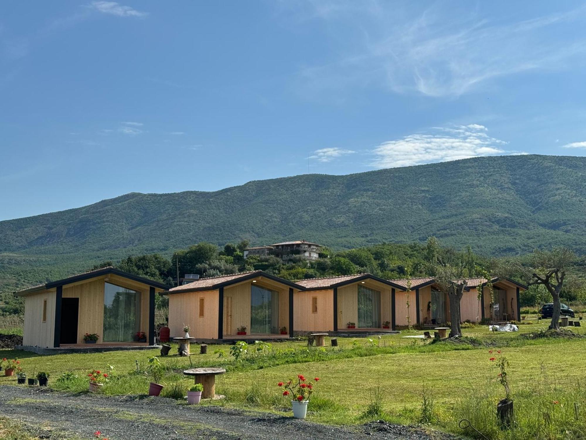 Fishta Guesthouse - Mrizi I Zanave Fishte Kültér fotó