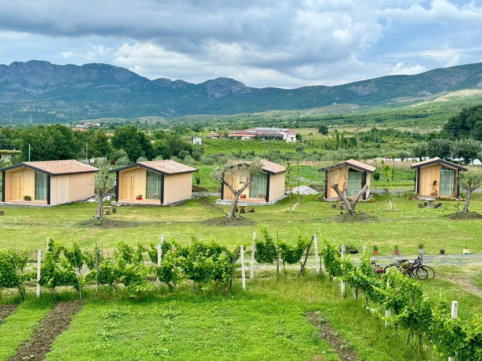 Fishta Guesthouse - Mrizi I Zanave Fishte Kültér fotó