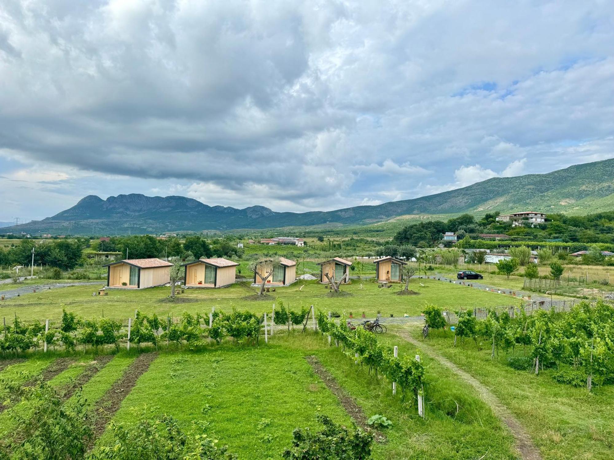 Fishta Guesthouse - Mrizi I Zanave Fishte Kültér fotó