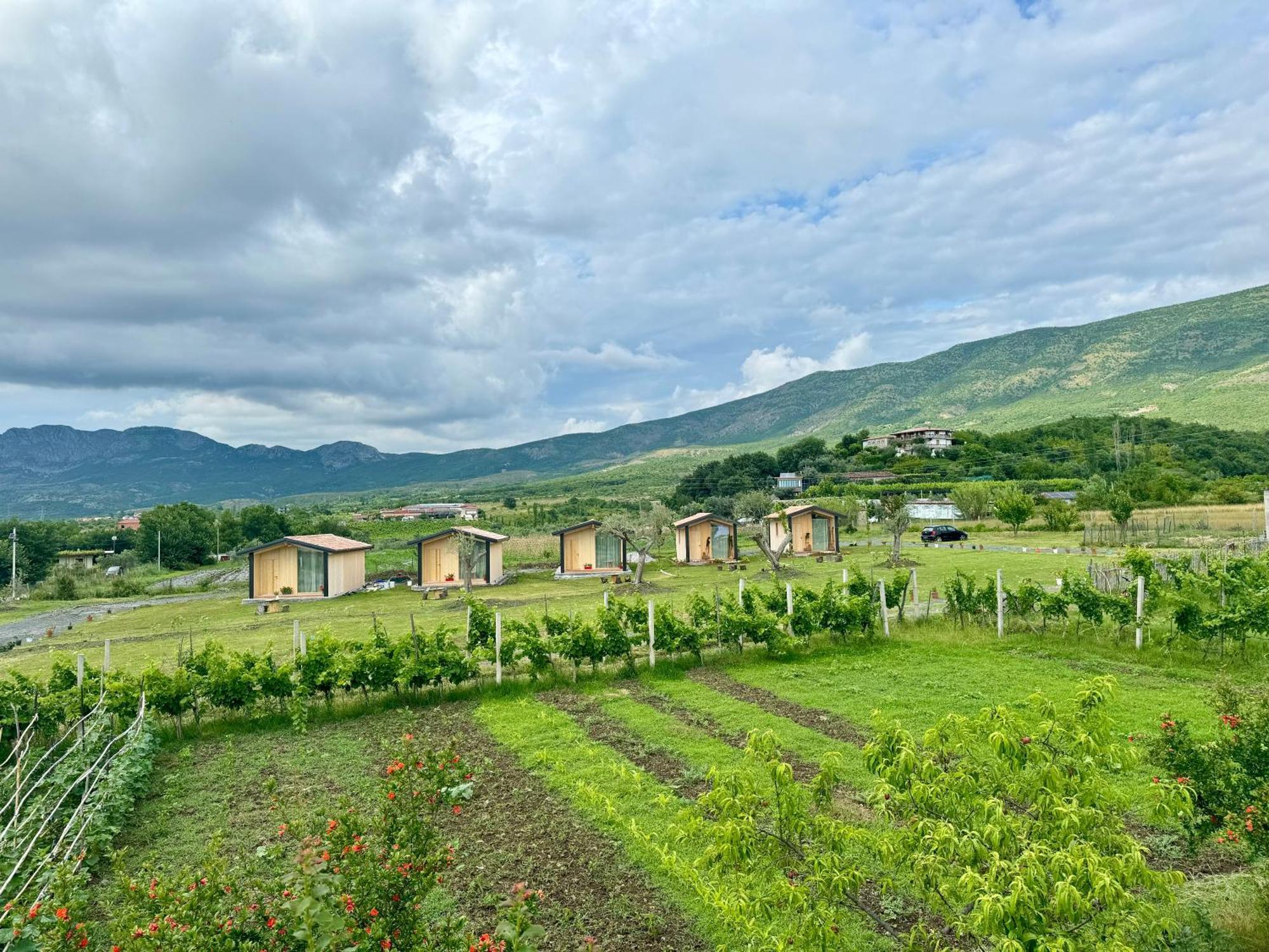 Fishta Guesthouse - Mrizi I Zanave Fishte Kültér fotó