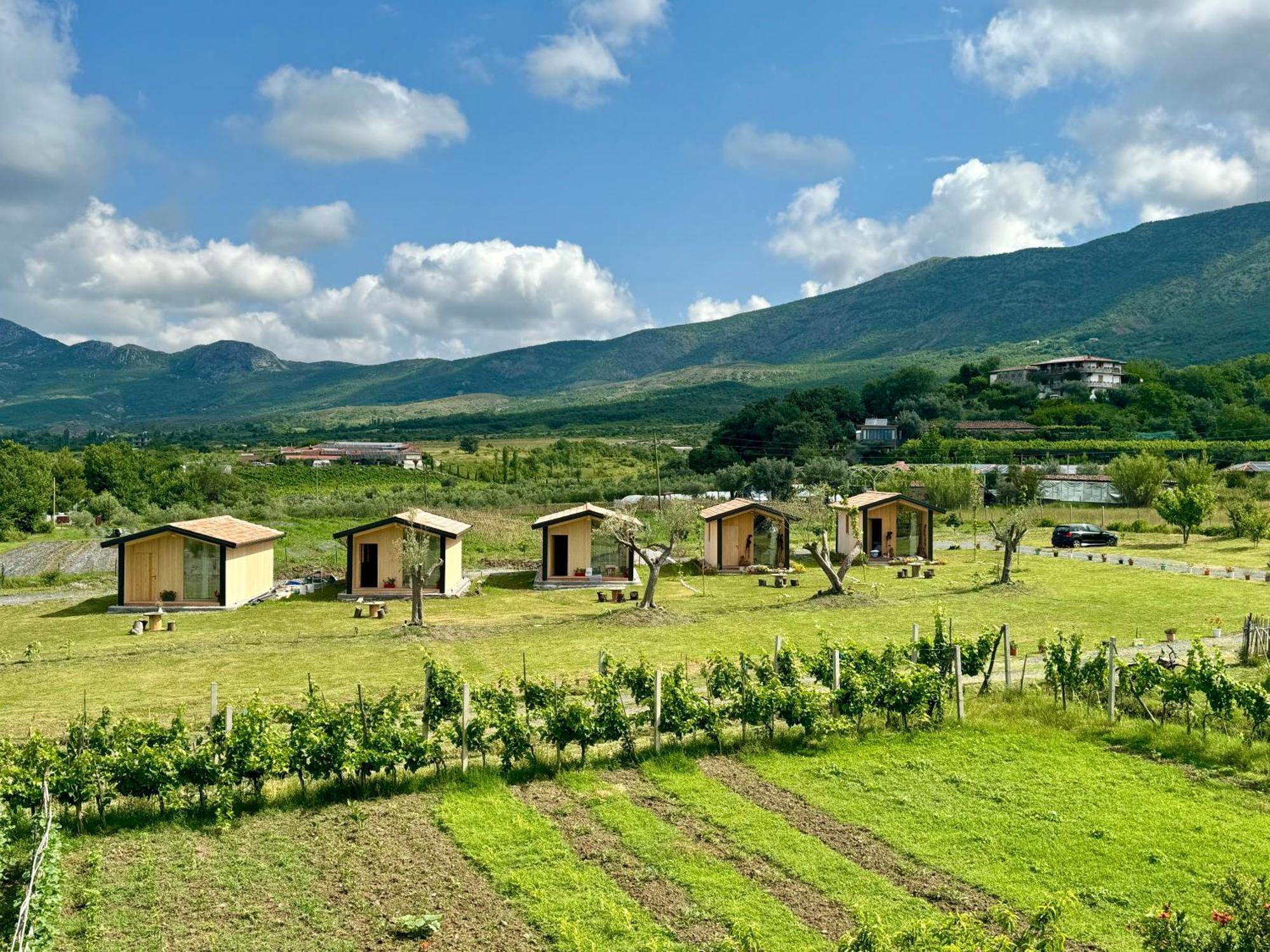 Fishta Guesthouse - Mrizi I Zanave Fishte Kültér fotó