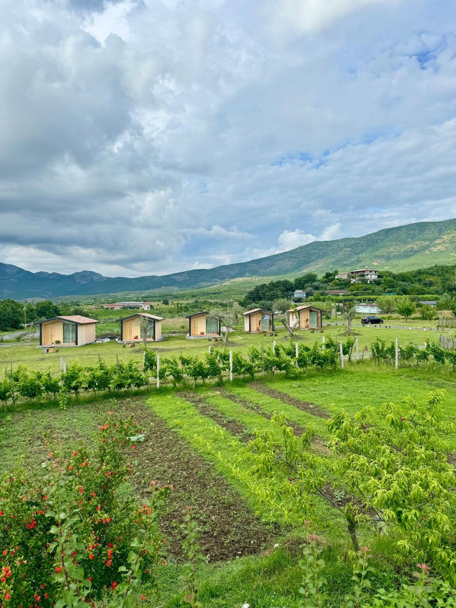 Fishta Guesthouse - Mrizi I Zanave Fishte Kültér fotó
