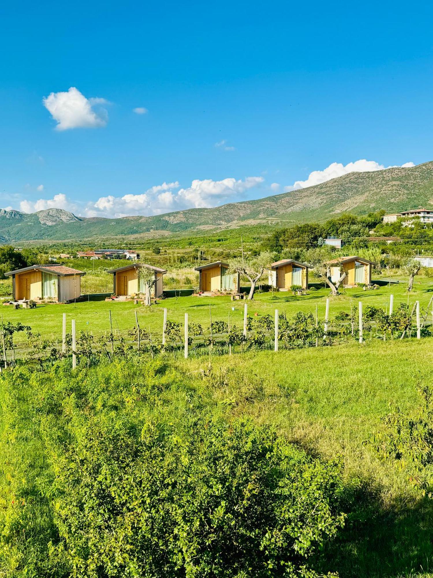 Fishta Guesthouse - Mrizi I Zanave Fishte Kültér fotó