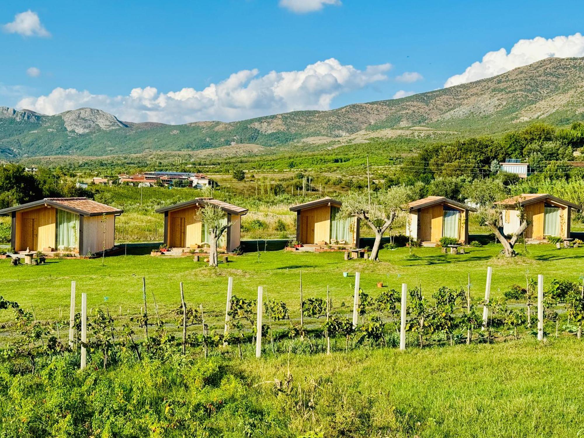 Fishta Guesthouse - Mrizi I Zanave Fishte Kültér fotó